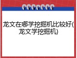 龙文在哪学挖掘机比较好(龙文学挖掘机)