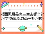 湘西凤凰县高三生去哪个补习学校(凤凰县高三补习校)