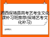 湘西保靖县高考艺考生文化课补习班推荐(保靖艺考文化补习)