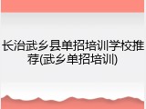 长治武乡县单招培训学校推荐(武乡单招培训)