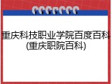 重庆科技职业学院百度百科(重庆职院百科)