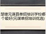 楚雄元谋县单招培训学校哪个最好(元谋单招培训优选)