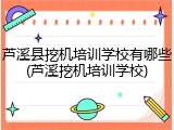 芦溪县挖机培训学校有哪些(芦溪挖机培训学校)