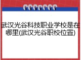 武汉光谷科技职业学校是在哪里(武汉光谷职校位置)