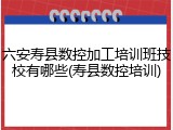 六安寿县数控加工培训班技校有哪些(寿县数控培训)