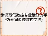 武汉蔡甸数控专业最好的学校(蔡甸最佳数控学校)