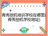 青秀挖机培训学校在哪里(青秀挖机学校地址)
