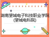 湖南望城电子科技职业学院(望城电科院)