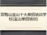 双鸭山宝山十大单招培训学校(宝山单招培训)