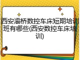 西安灞桥数控车床短期培训班有哪些(西安数控车床培训)