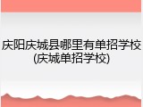庆阳庆城县哪里有单招学校(庆城单招学校)