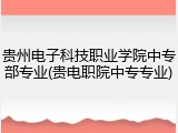贵州电子科技职业学院中专部专业(贵电职院中专专业)