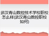 武汉青山数控技术学校职校怎么样(武汉青山数控职校如何)