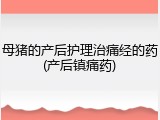 母猪的产后护理治痛经的药(产后镇痛药)