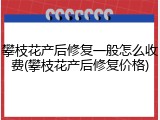 攀枝花产后修复一般怎么收费(攀枝花产后修复价格)