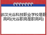武汉光谷科技职业学校是职高吗(光谷职高是职高吗)