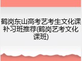鹤岗东山高考艺考生文化课补习班推荐(鹤岗艺考文化课班)
