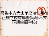 乌鲁木齐天山单招培训学校正规学校有那些(乌鲁木齐正规单招学校)