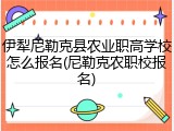伊犁尼勒克县农业职高学校怎么报名(尼勒克农职校报名)