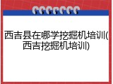西吉县在哪学挖掘机培训(西吉挖掘机培训)