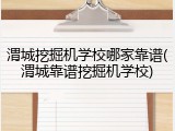 渭城挖掘机学校哪家靠谱(渭城靠谱挖掘机学校)