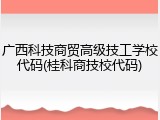 广西科技商贸高级技工学校代码(桂科商技校代码)