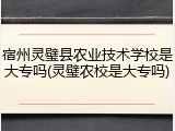 宿州灵璧县农业技术学校是大专吗(灵璧农校是大专吗)