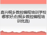 嘉兴桐乡数控编程培训学校哪家好点(桐乡数控编程培训优选)