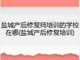 盐城产后修复师培训的学校在哪(盐城产后修复培训)