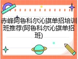 赤峰阿鲁科尔沁旗单招培训班推荐(阿鲁科尔沁旗单招班)