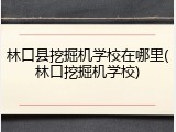 林口县挖掘机学校在哪里(林口挖掘机学校)