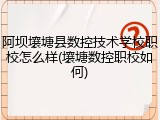 阿坝壤塘县数控技术学校职校怎么样(壤塘数控职校如何)