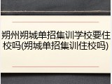 朔州朔城单招集训学校要住校吗(朔城单招集训住校吗)