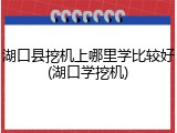 湖口县挖机上哪里学比较好(湖口学挖机)