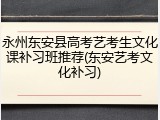 永州东安县高考艺考生文化课补习班推荐(东安艺考文化补习)
