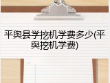 平舆县学挖机学费多少(平舆挖机学费)