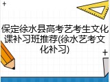 保定徐水县高考艺考生文化课补习班推荐(徐水艺考文化补习)