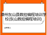 漳州东山县数控编程培训学校(东山数控编程培训)