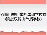 双鸭山宝山单招集训学校有哪些(双鸭山单招学校)