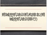 朔城挖机培训机构排名(朔城挖机培训排行)