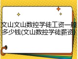 文山文山数控学徒工资一般多少钱(文山数控学徒薪资)