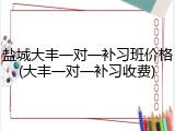 盐城大丰一对一补习班价格(大丰一对一补习收费)