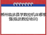 郴州临武县学数控机床哪家强(临武数控培训)