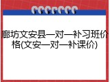 廊坊文安县一对一补习班价格(文安一对一补课价)