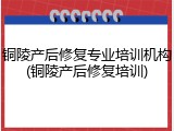 铜陵产后修复专业培训机构(铜陵产后修复培训)