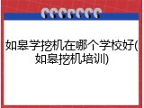 如皋学挖机在哪个学校好(如皋挖机培训)