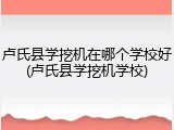 卢氏县学挖机在哪个学校好(卢氏县学挖机学校)