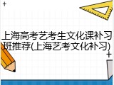 上海高考艺考生文化课补习班推荐(上海艺考文化补习)