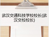 武汉交通科技学校校长(武汉交校校长)