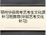 鄂州华容高考艺考生文化课补习班推荐(华容艺考文化补习)